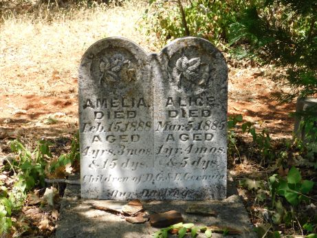 [Picture of Amelia and Alice grave]